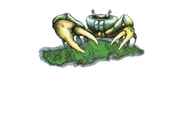 Crab Island Rum Distillery - Vieques, PR